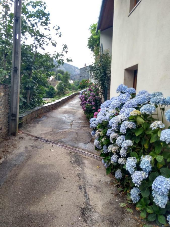 Vide Casa D.Dinisヴィラ エクステリア 写真